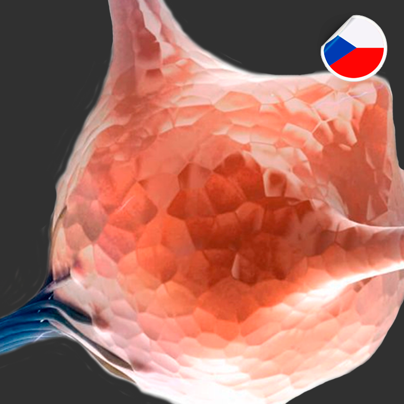 Консьерж для пациентов с рассеяным склерозом